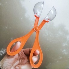 무당벌레관찰도구 귀뚜라미 벌 대형 자연 곤충관찰집게 곤충관찰 곤충채집 곤충채집도구, 없음, 없음, 상세설명 참조