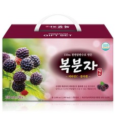 광야식품 복분자믹스 선물세트, 20팩, 130ml