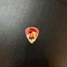 烏克時代 鄉村天后Taylor Swift Pick撥片共25款 - 吉他/貝斯彈奏配件，展現獨特音樂風格, 1個, 19