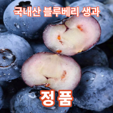 서비네 산지직송 국내산 블루베리 생과, 4개, 대과 100g 팩