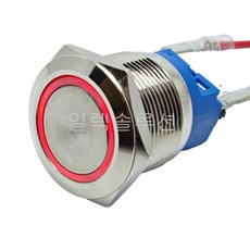 22파이 메탈 푸쉬 스위치 플랫형 레드 LED 6V/12V/24V, 6V／12V, 푸쉬 타입, 1개