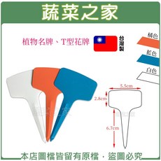 蔬菜之家 植物名牌 T型花牌 標示牌, 橘色