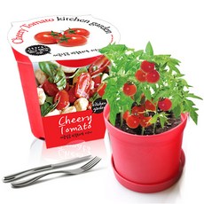 컬러키친가든 텃밭세트, 방울토마토(레드)