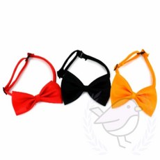 새임 소형 나비넥타이