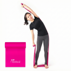 에코리즈 엑서사이즈 밴드 프리미엄형, 1개, p1 핑크