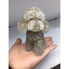 애완돌 반려돌 푸들 펫돌 반려석 애완석 돌멩이 키우기, 초입수정, 1개