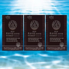 몸신의 탄생 TV방영 제품 혜민원 후코이단 프리미엄 180g 3개월분 (소비기한 2027년 8월 이후 제품 출고), 90개, 2g