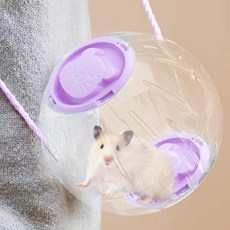 倉鼠跑球 18cm 運動滾輪 閃光燈款, 1個, 12cm【葡萄紫】+揹帶繩,【普通款】無閃光燈