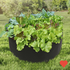 원예용품 베란다 텃밭 부직포 블랙 모종 블루베리 화분