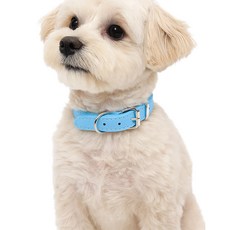 하이독 데일리 반려견 목줄 PU가죽 튼튼한 산책용 강아지목줄 3단조절 소형견 중형견 대형견 공용, 1개, 블루