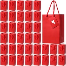Sherr 손잡이가 달린 레드 선물 가방 태그 5.3 x 9.5 x 20.3cm(5.3 x 3.7 x 8.1인치) 소형 광택 종이 가방 벌크 웨딩 생일 베이비 샤워 파티 선물