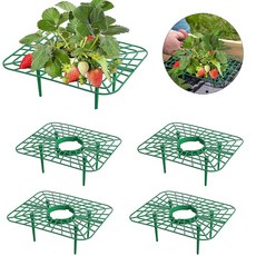 10팩 정사각형 딸기 지지대 홀더 프레임 성장 유지 깨끗하게 스탠드 열매를, 10pcs