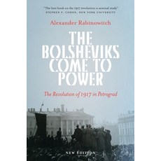 (영문도서) The Bolsheviks Come to Power: Anarchist Currents in the Newest Social Movements Paperback, Pluto Press (UK), English, 9780745399980