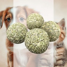 고양이 데구루루 캣닢 볼 기분개선 기호성 이갈이용품 기분전환 활동유도 입냄새제거