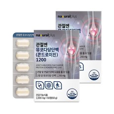 내츄럴플러스 관절엔 뮤코다당단백 콘드로이친 1200 60g, 60정, 2개