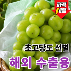 [농장직배송] 고당도 샤인머스켓 씨없는 청포도, 1개, 500g