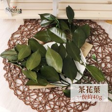 大地農園 茶花葉 乾燥花材, 【永生茶花葉】原裝包,一份約40g