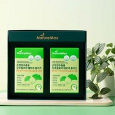 고3 학습 효율성 단어 기억력 개선 도움 은행잎 징코 60정 2통 1박스 4개월분 플라보놀 당체 비타민B 아연 영양제 선물세트, 2개