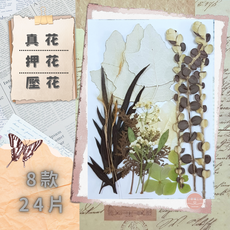 自然綜合壓花花材包 8款24片 天然乾燥植物壓花, 自然綜合包C