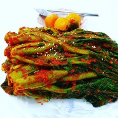 갓김치 1kg 돌산갓 정아네 돌산 갓김치 여수직송, 1개