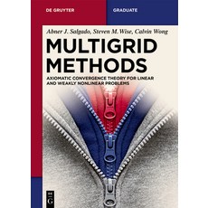 (外文書)Multigrid Methods: Finite Element Method and Fast Numerical Solution for Nonlinea... Paperback, de Gruyter, English