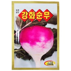 영농사 <강화순무 씨앗 2000립> 육질이 부드러운 순무씨, 1개, 강화순무