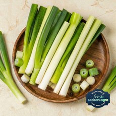 국내산 간편대파 500g 절단대파 손질야채, 1개