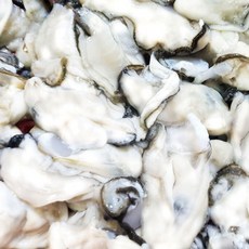 국내산 당일손질 통영 하프셀(반각굴) 1단 (30미 내외) 제철, 1개