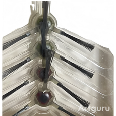 科沃斯 R95 濾網 邊刷 滾刷 主刷 副廠 適用 R96 R98, 1個, 邊刷1只