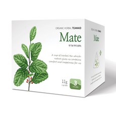 티메이드 유기농 마테차 삼각티백, 1박스, 10개입, 1.1g