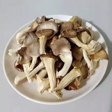 말린 느타리버섯 250g 500g 건조버섯 건 느타리버섯 윈난버섯 6D0109