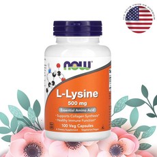 나우푸드 엘리신 앨리신 엘 라이신 500mg 100캡슐 Lys Lysine, 100정, 1개
