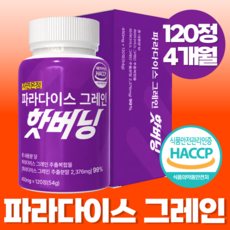 자연온정 파라다이스 그래인 추출물 정품 파라다이스 그레인 핫 버닝, 1개, 120정