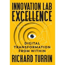 Innovation Lab Excellence: Digital Transformation from Within Hardcover, Authority Publishing, English, 9781949642094