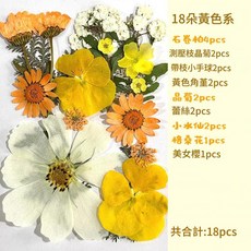 手工乾花DIY材料包 永生花 相框裝飾, 1個, 18朵黃色系