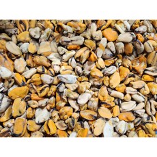 [수다모아]깨끗하고 맛있는 자숙 냉동 왕홍합살 500g 1kg, 1개