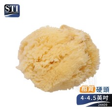 STI 天然海綿 粗質硬頭系列 繪畫清潔專用 4-4.5英吋, 1個