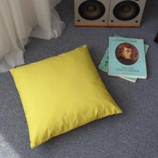 아트박스/샤이닝홈 팬톤 소파 방석커버 50x50 G라임, 본품