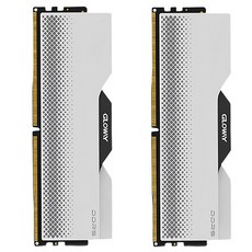 글로웨이 DDR5 데스크탑 히트싱크 램 실버 16GB GW6400N16G-SM 2개입, 1개 1개