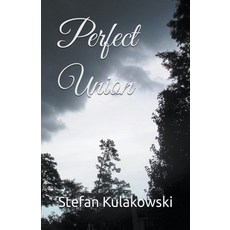 (영문도서) Perfect Union Paperback, Stefan Kulakowski, English, 9798223530299