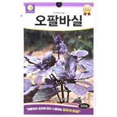 오팔바실 500립 다농 26년 허브씨앗