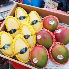 프리미엄 고당도 골드망고 애플망고 선물세트, 무지개망고5kg(10~12과), 1박스