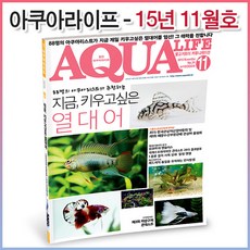 아쿠아라이프 2015년 11월호