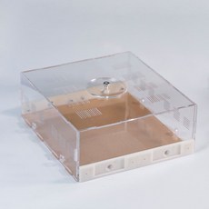 확장형 조립식 개미집 사육 상자 아크릴 둥지 앤트하우스 키트 키우기 개미, 4. 대형 활동 지역 210x225x85MM