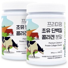 프리미엄 초유 단백질 콜라겐 분말, 2개, 300g