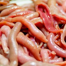 통영 제철 새조개 소라 멍게 문어 전복 외 최상급 해산물, 1개, 8미내외, 손질 개불8미내외