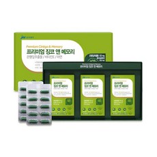 jw중외제약 프리미엄 징코 앤 메모리, 90정, 1개
