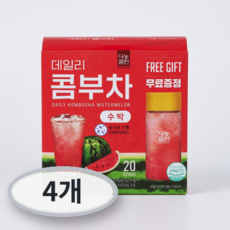 다농원 데일리 콤부차 수박, 5g, 4개, 20개입