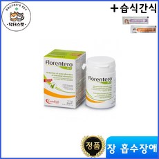 플로렌테로 액트 태블릿 30정 + 동물병원 전용 습식간식 / Florentero Act Tablet / 급성 장 흡수 장애 / 장 염증 감소, 장건강/유산균, 1개, 고양이