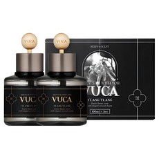 뷰카 센트 클래식 차량용 디퓨저 100ml, 일랑일랑, 2개